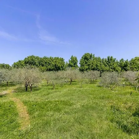 Διαμέρισμα In Near
