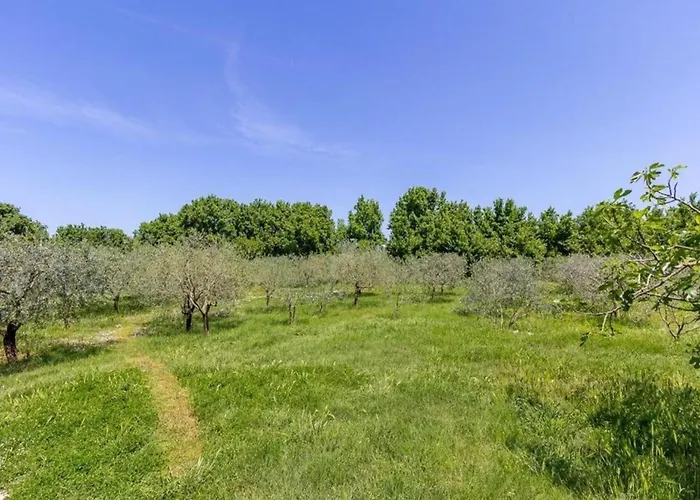 Διαμέρισμα In Near