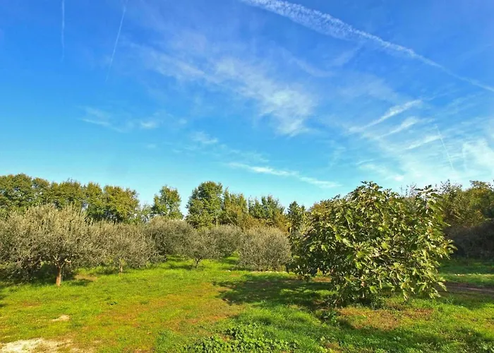 Διαμέρισμα In Near
